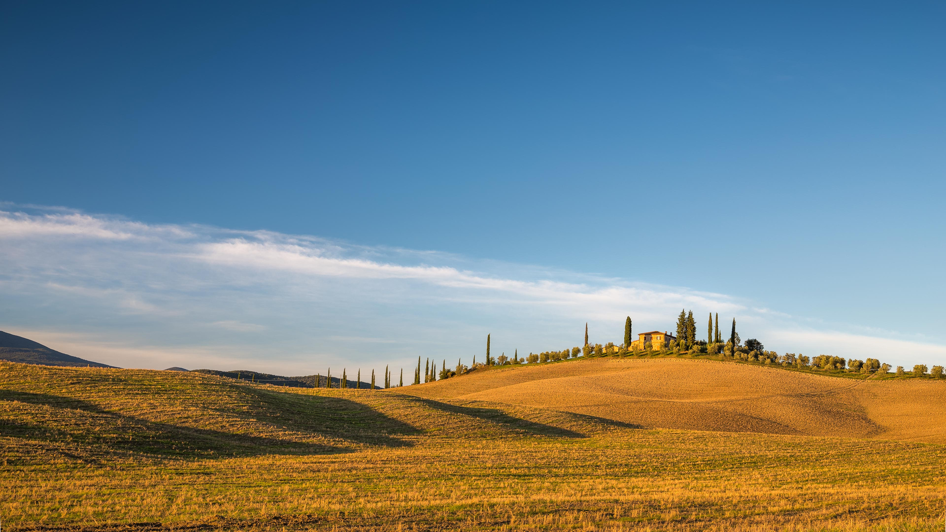 Green Grass Field Under Blue Sky